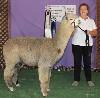 Main image of LV Silver Samovar by Vantaggio