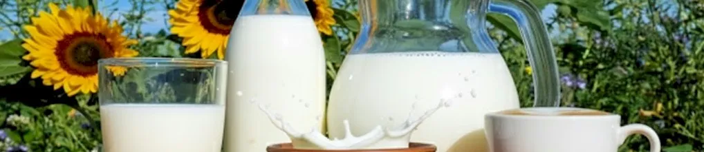 Delicious Milk