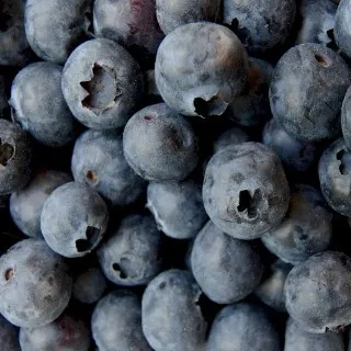 Blueberry