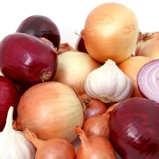 Onion