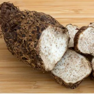 Malanga