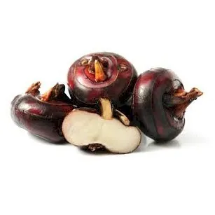 Water Chestnut