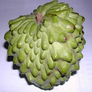 Atemoya