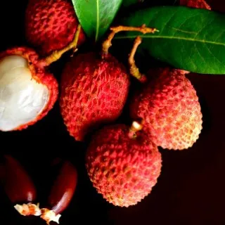 Lychee