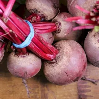 Beet