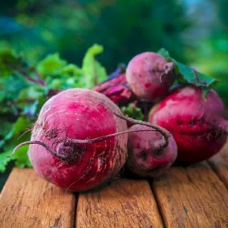 Beetroot