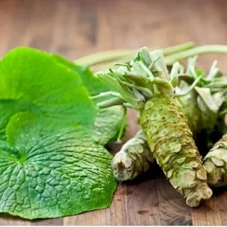 Wasabi