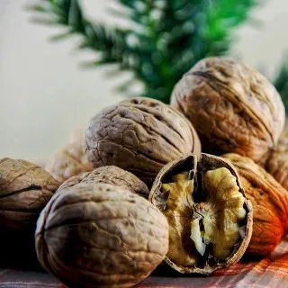 Nuts