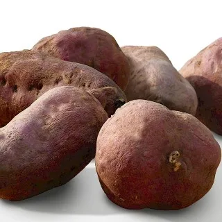 Tubers