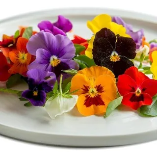 Edible Flowers