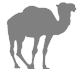 About BactrianCamels