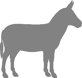 About AbyssinianDonkeys