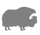 MuskOx