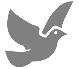 About Pigeons