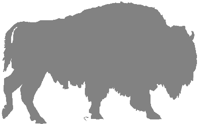 About AmericanBisons