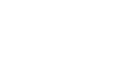 Bison