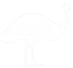 Emus