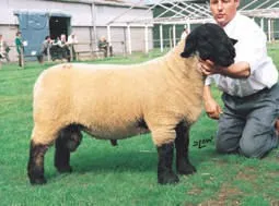 Photo source: The National Sheep Association
