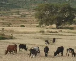 Source: en.wikipedia.org