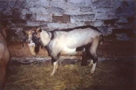 Photo Source: Agraria.org
