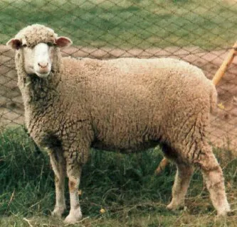 Photo source: Agraria.org