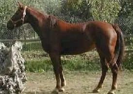 Photo Source: Agraria.org
