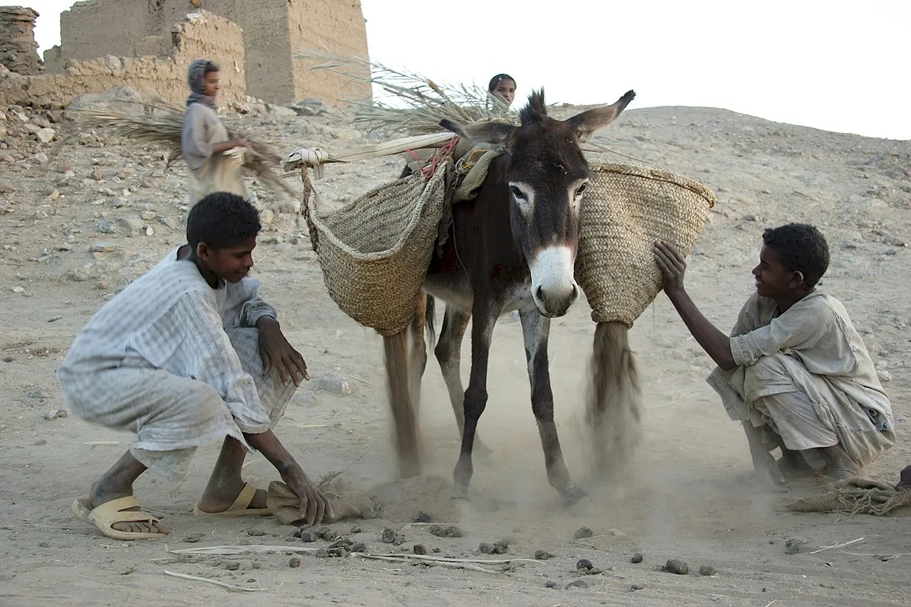 Photo Source: Wikipedia.org