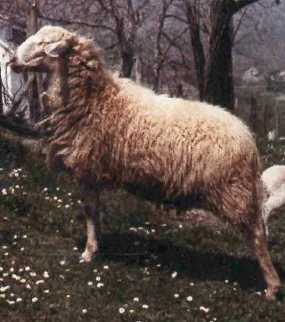Photo source: Agraia.org