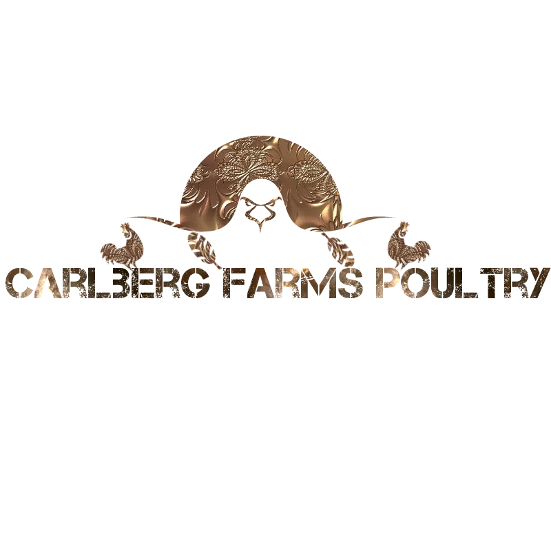 SHIPPING CHICKS NATIONWIDE RARE AND HERITAGE VARIETIES NPIP/BOAH FARM