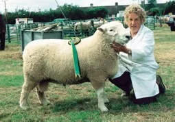 Photo Source: National Sheep Association
