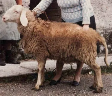 Photo source: Agraria.org.