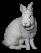 Photo Source: Wikipedia.org