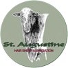 St Augustine Hair Sheep Logo