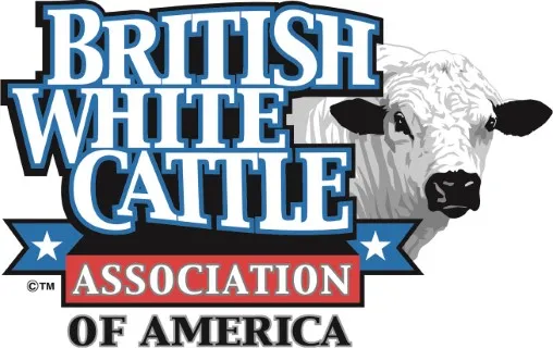 British White Cattle Association of America