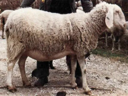 Photo source: Agraria.org