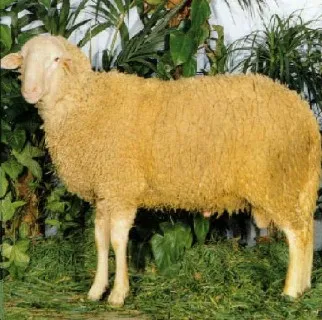 Photo source: Agraria.org.