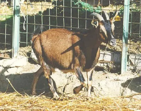 Source: Agraria.org