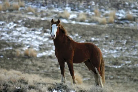 Photo: earthtrinity.com