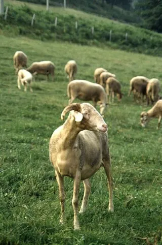 Photo source: Agraria.org.