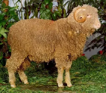 Photo source: Agraria.org.
