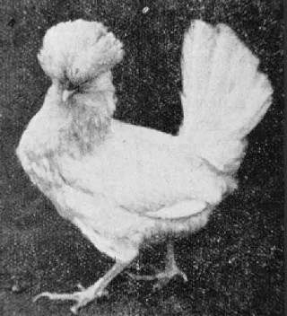 Photo source: Agraria.org