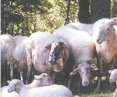Photo Source: Agraria.org.