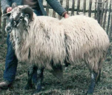 Photo source: agraria.org.