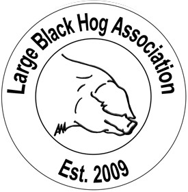 Large Black Hog Association Logo