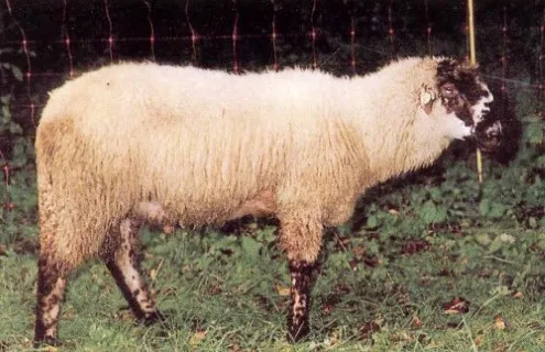 Photo source: Agraria.org