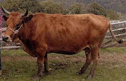 Photo source: Agraria.org