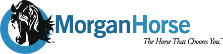 American Morgan Horse Association