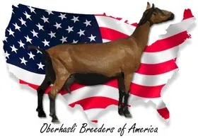 Oberhasli Breeders of America