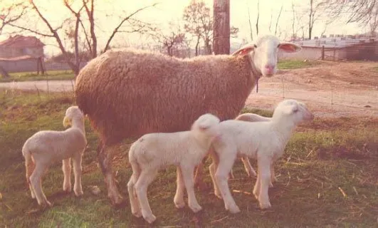 Photo source: Agraria.org.