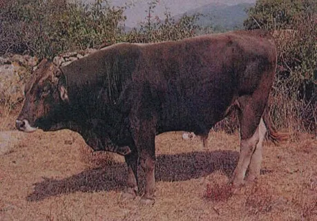 Photo Source; Agraria.org